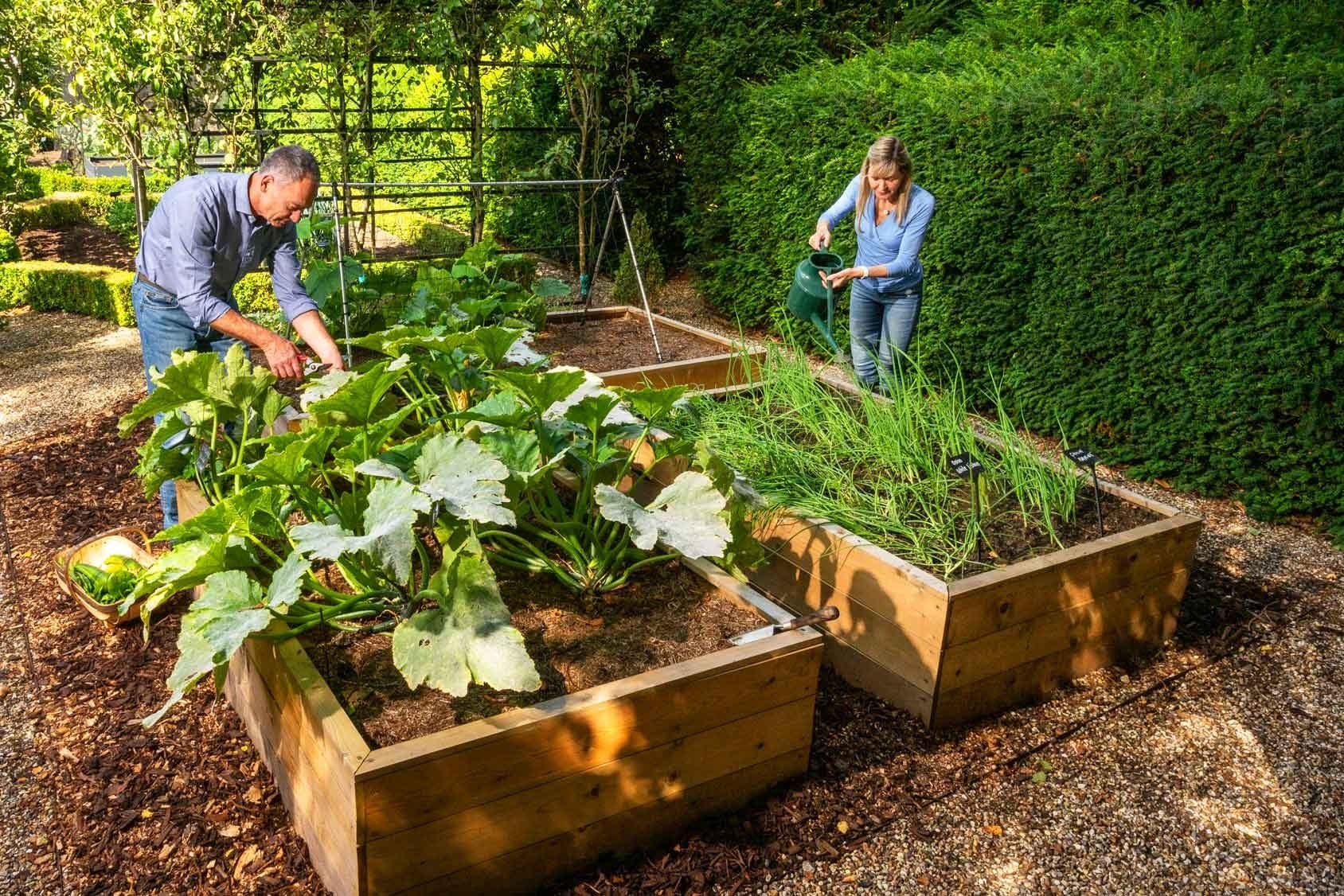 Allotment Wooden Raised Beds Harrod Horticultural