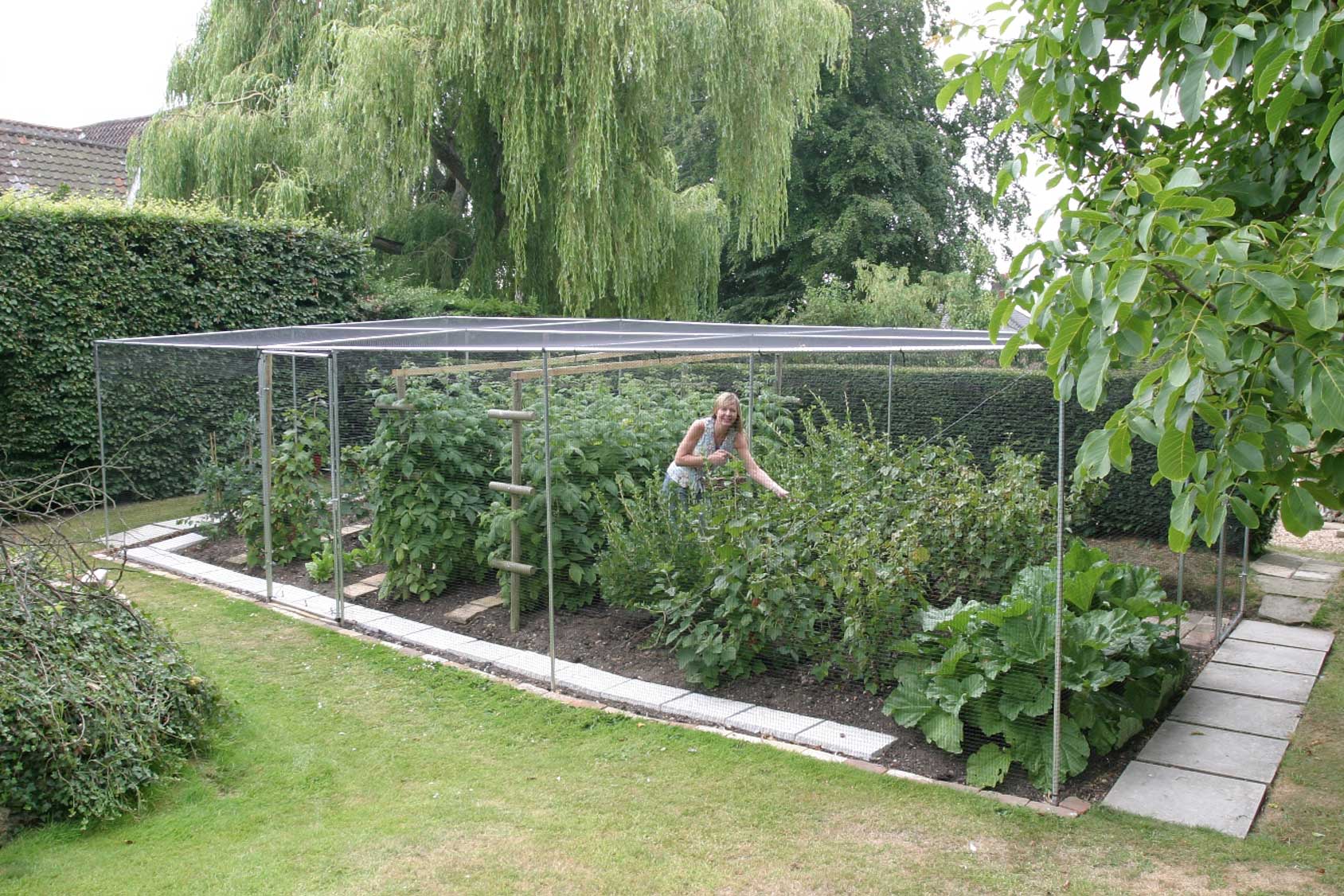 Aluminium Fruit Cage with Butterfly Netting - Harrod Horticultural