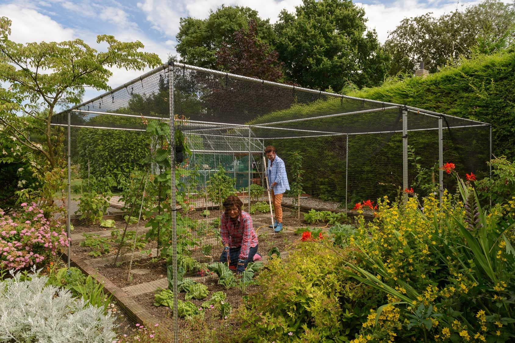 Aluminium Fruit Cages - Harrod Horticultural (UK)