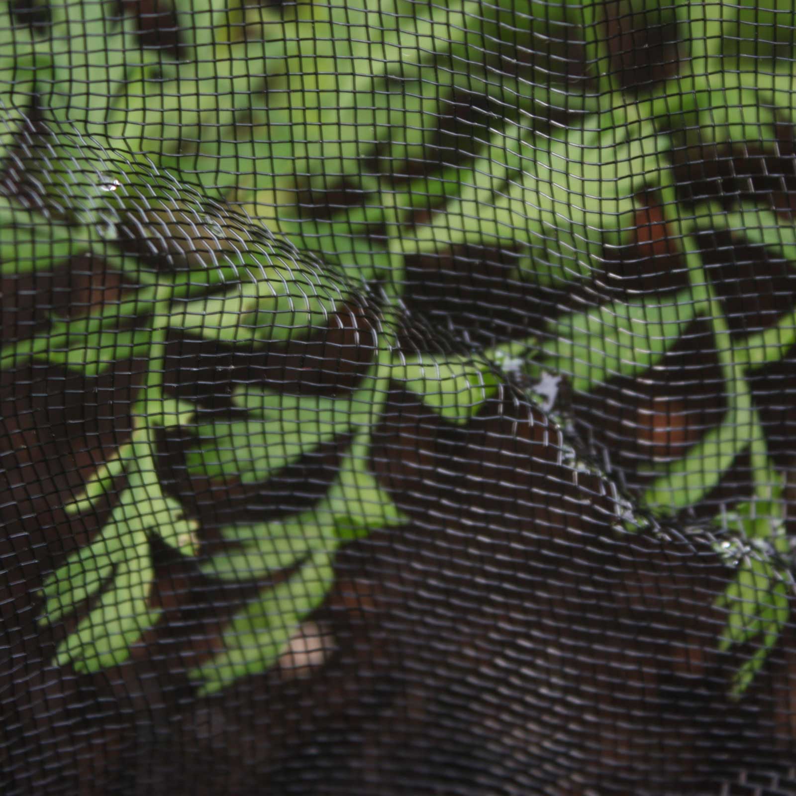 Black Insect Mesh Harrod Horticultural