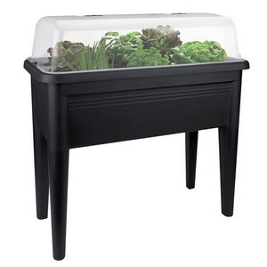 Contemporary Grow House Trough Table and Lid - Harrod