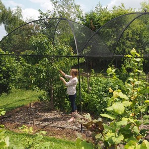 Dome Roof Decorative Steel Fruit Cage