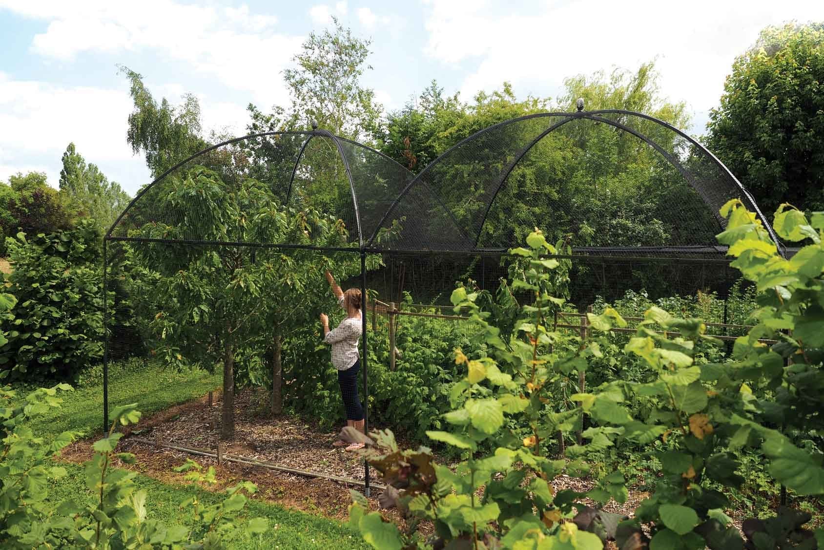 Dome Roof Fruit Cage Pineapple Finial Harrod Horticultural