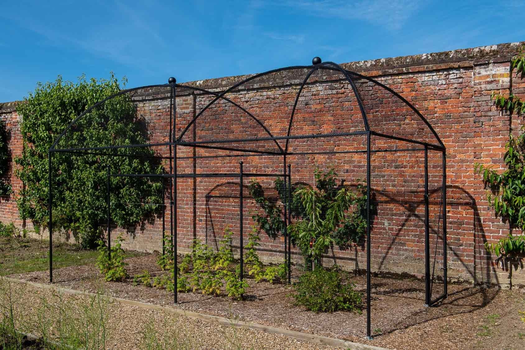 Dome Roof Heavy Duty Steel Decorative Fruit Cage Harrod Horticultural