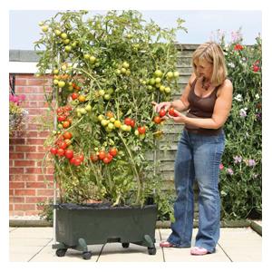 gardening landscape