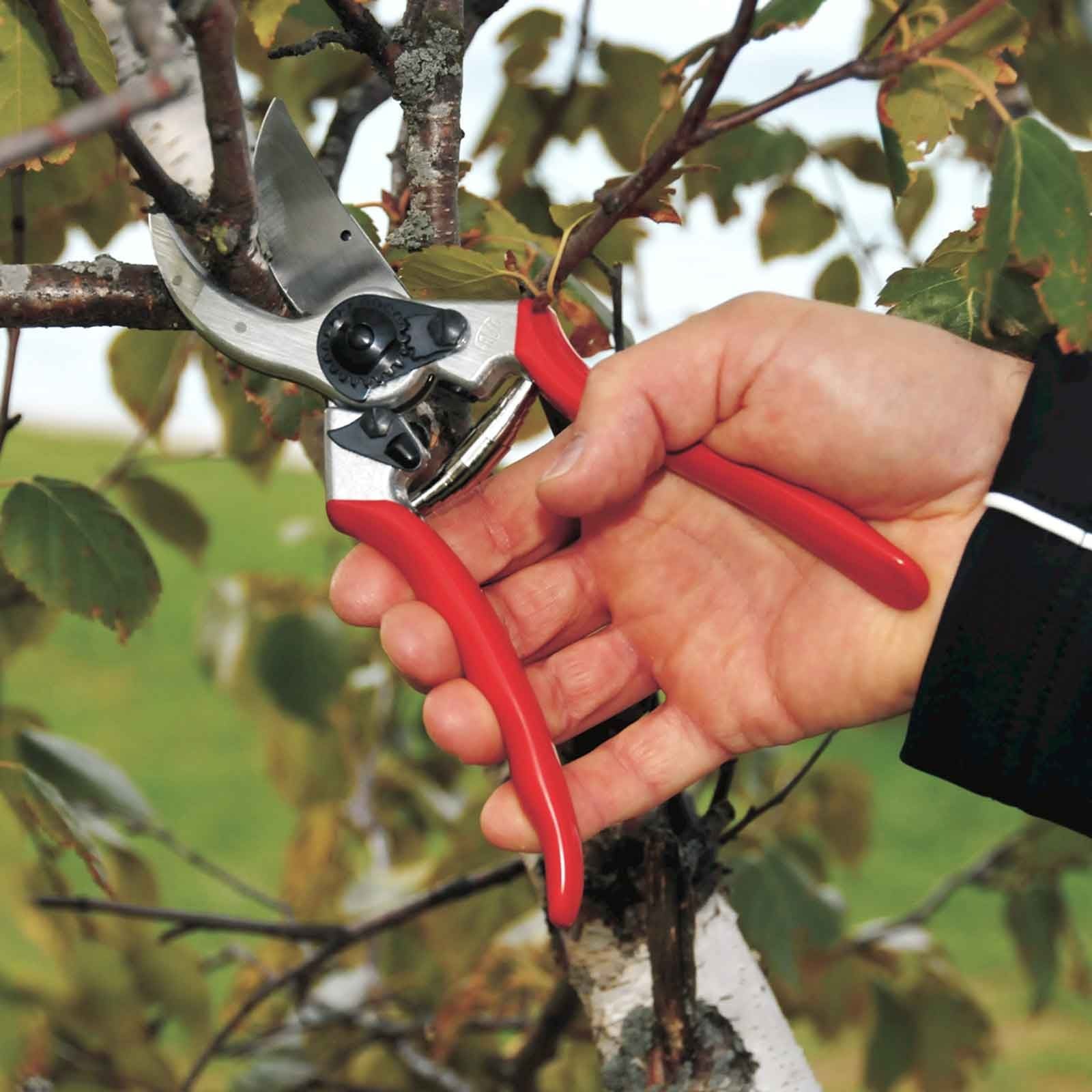 Felco Professional Model 2 Secateur Harrod Horticultural