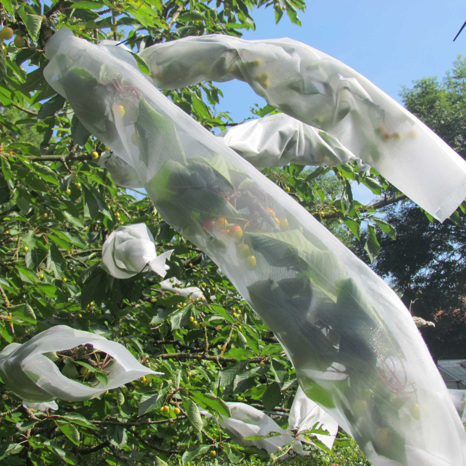 Fruit Tree Sleeves Harrod Horticultural