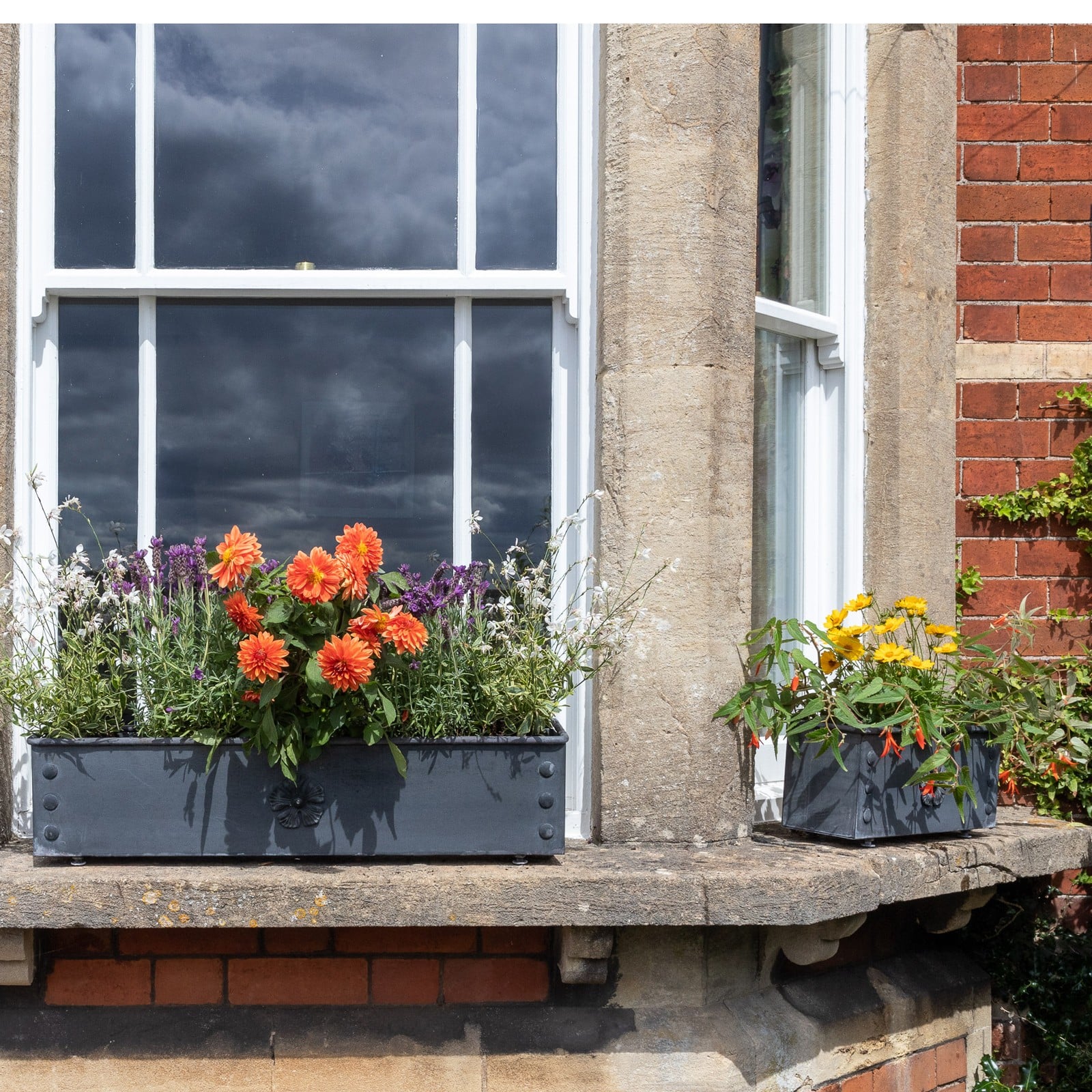 Galvanised Steel Window Boxes Harrod Horticultural