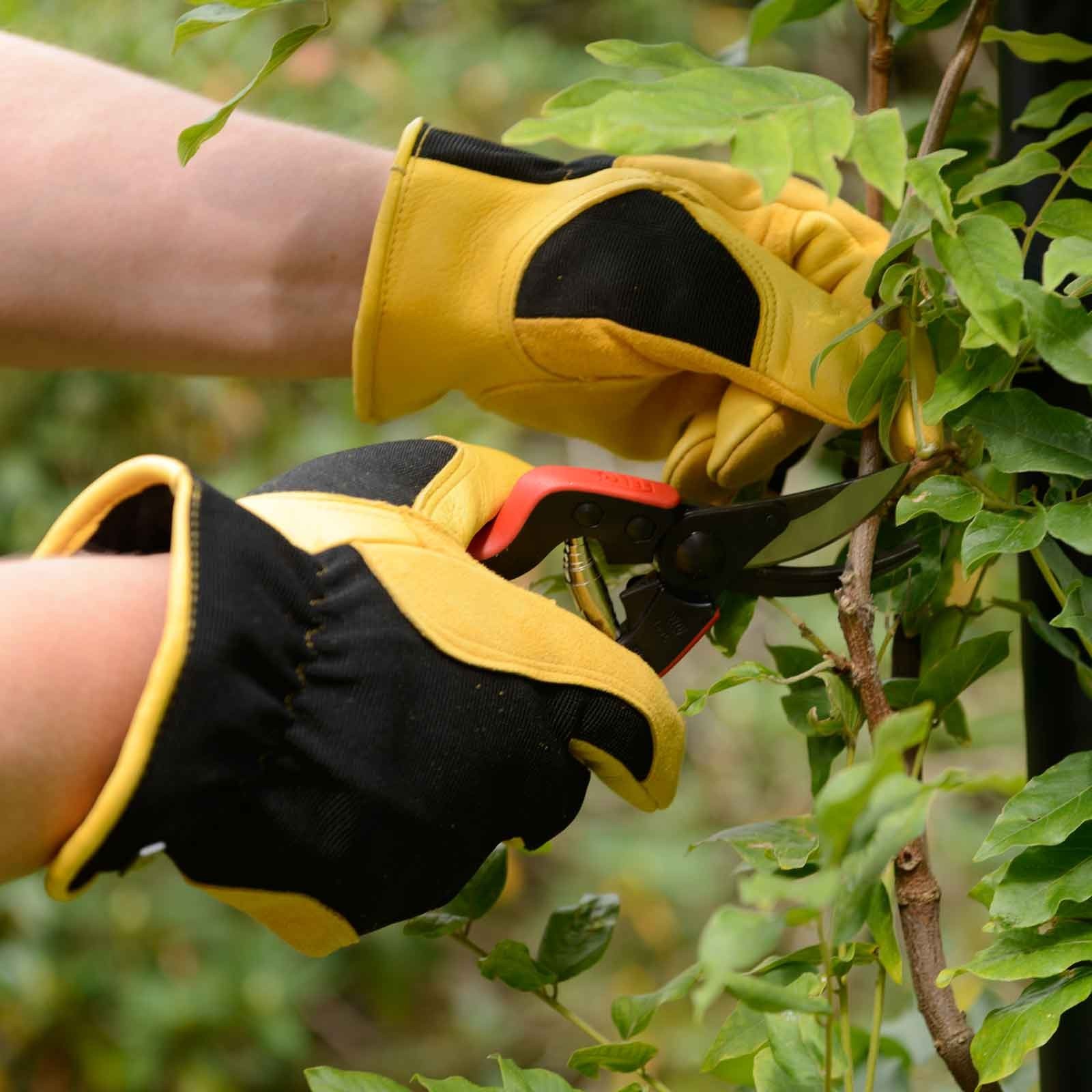 Gold Leaf Winter Touch Gloves - Harrod Horticultural (UK)