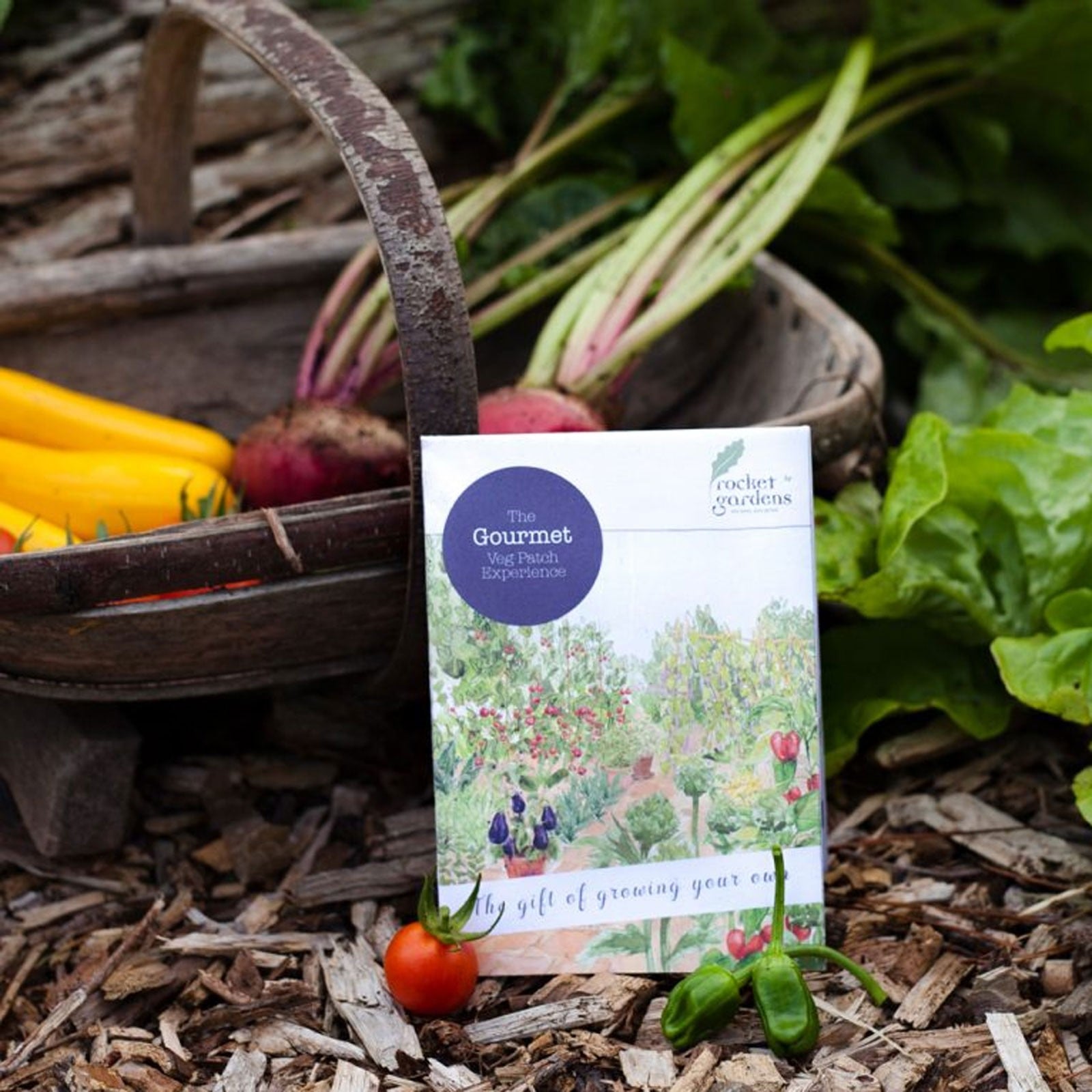 Gourmet Veg Patch Gift Voucher Harrod Horticultural