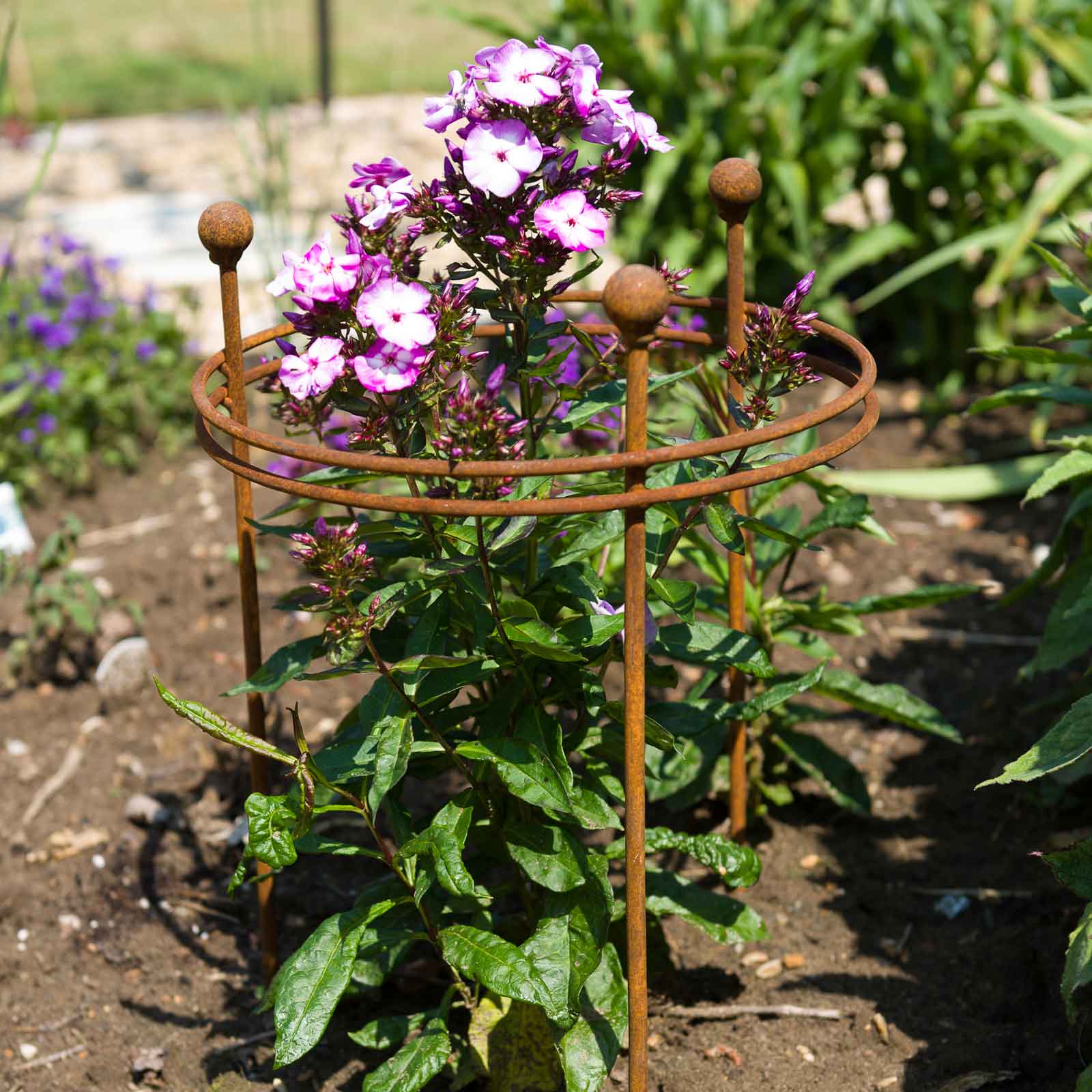 Heavy duty plant support