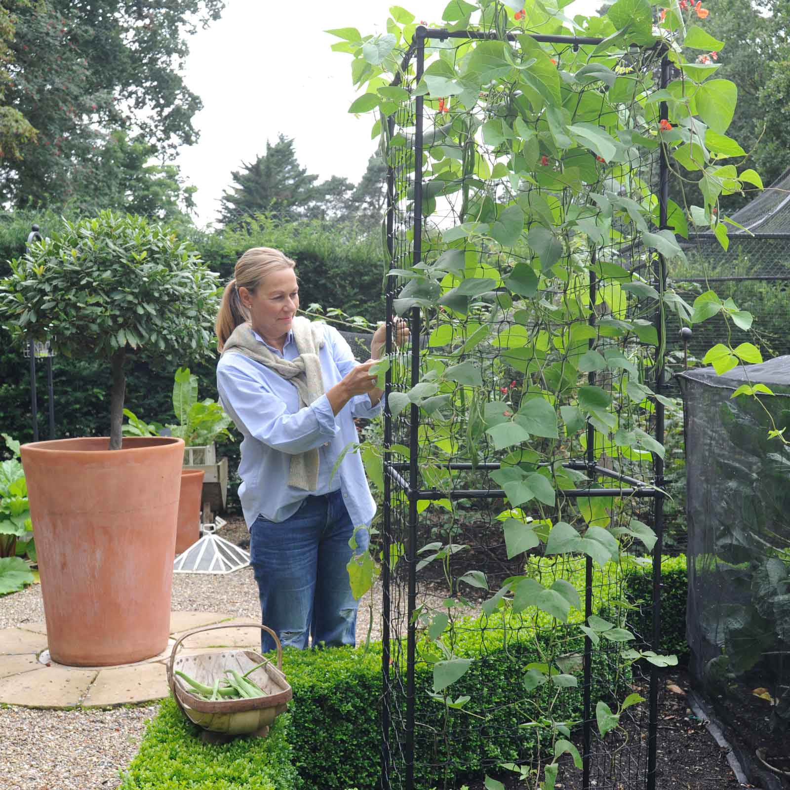 Harrod Slot & Lock® Bean Column - Harrod Horticultural