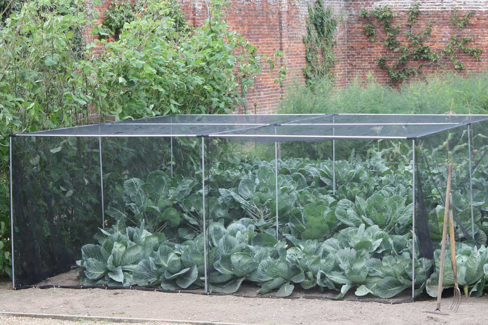 Slot & Lock® Aluminium Vegetable Cage (1.5m H) Harrod Horticultural (UK)
