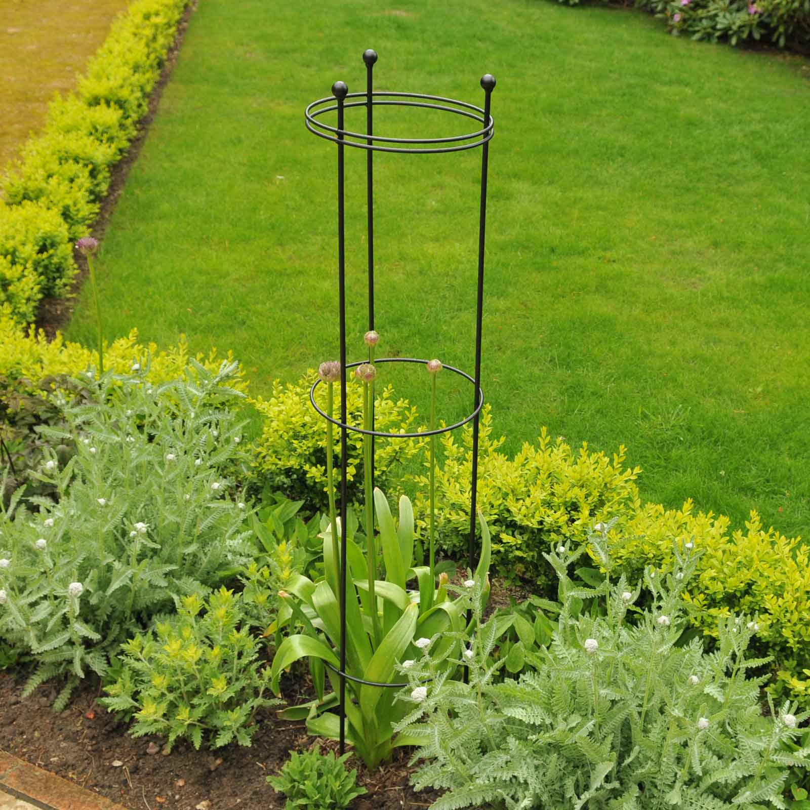 House plant supports