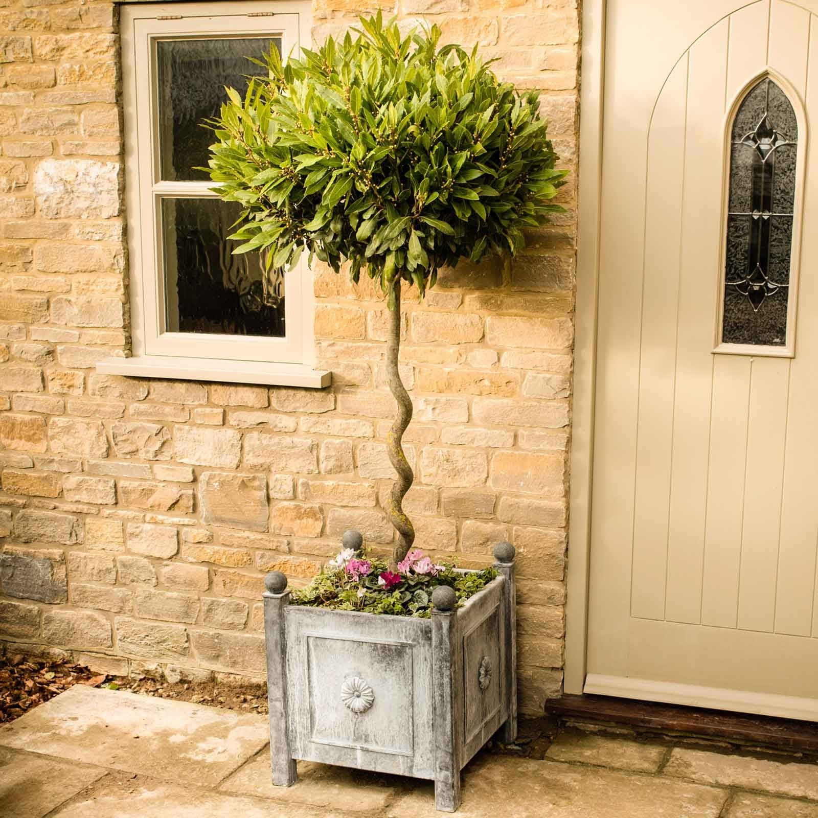 Harrod Traditional Planters Harrod Horticultural