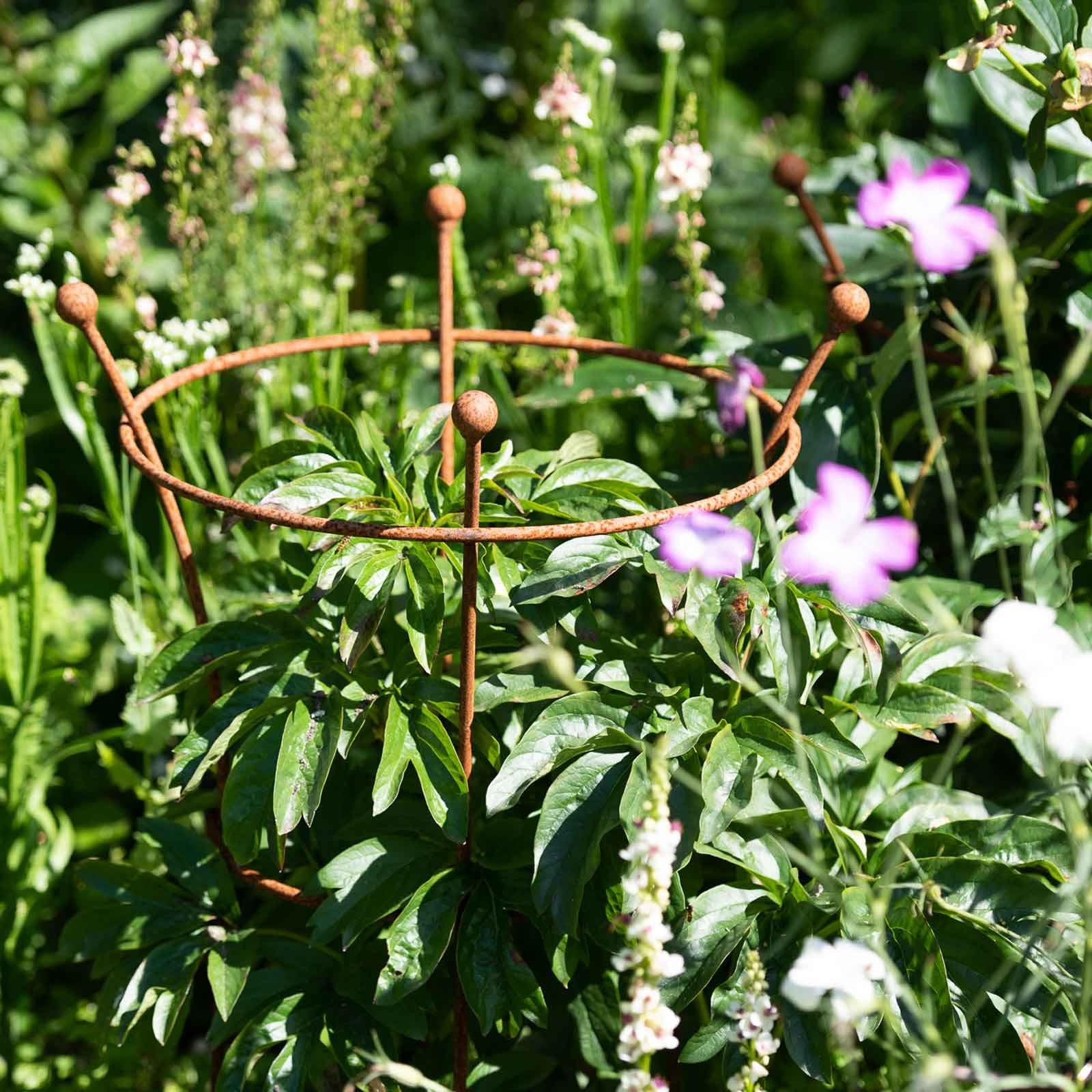 Peony Plant Supports in Rust by Harrod Horticultural