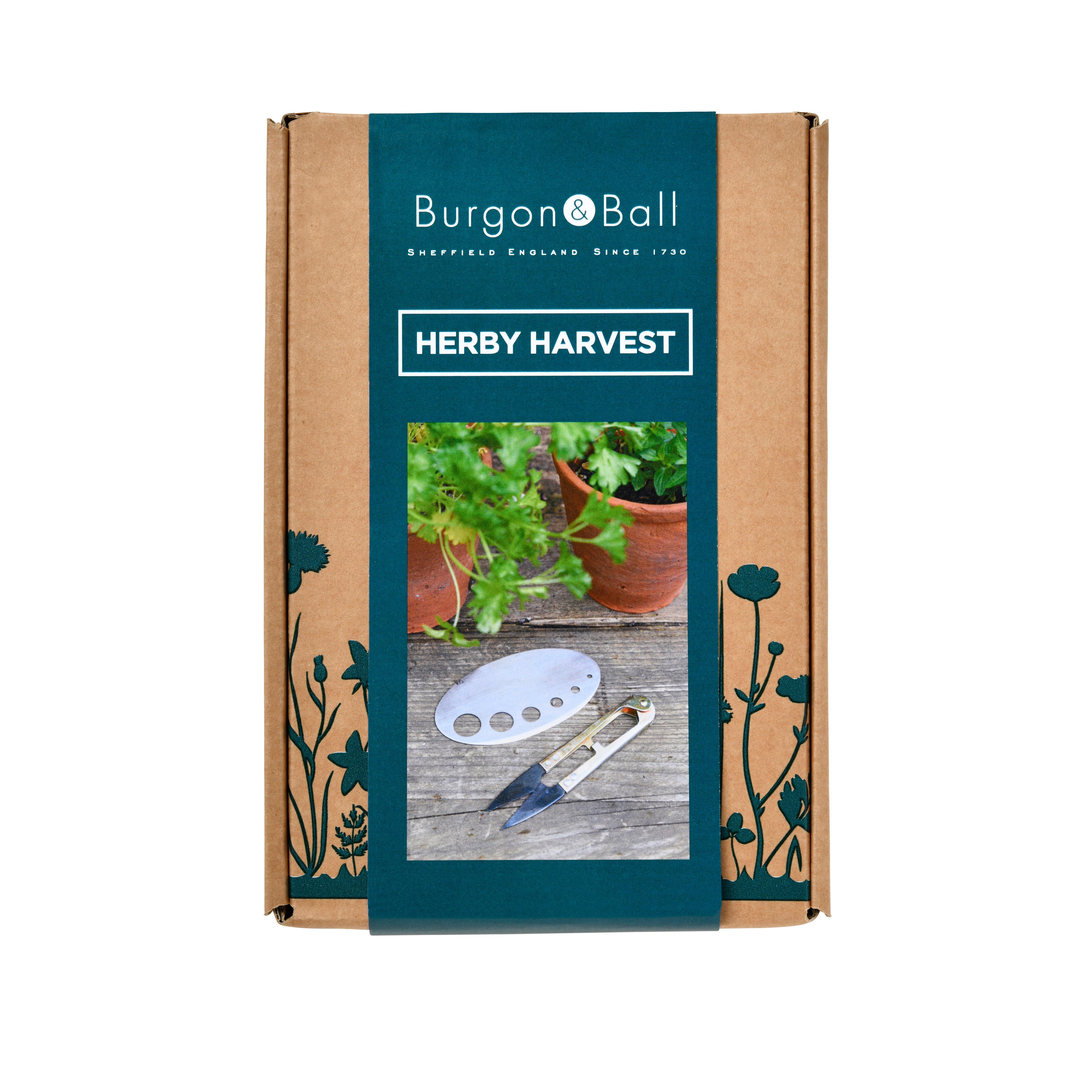 Herby Harvest Set Harrod Horticultural