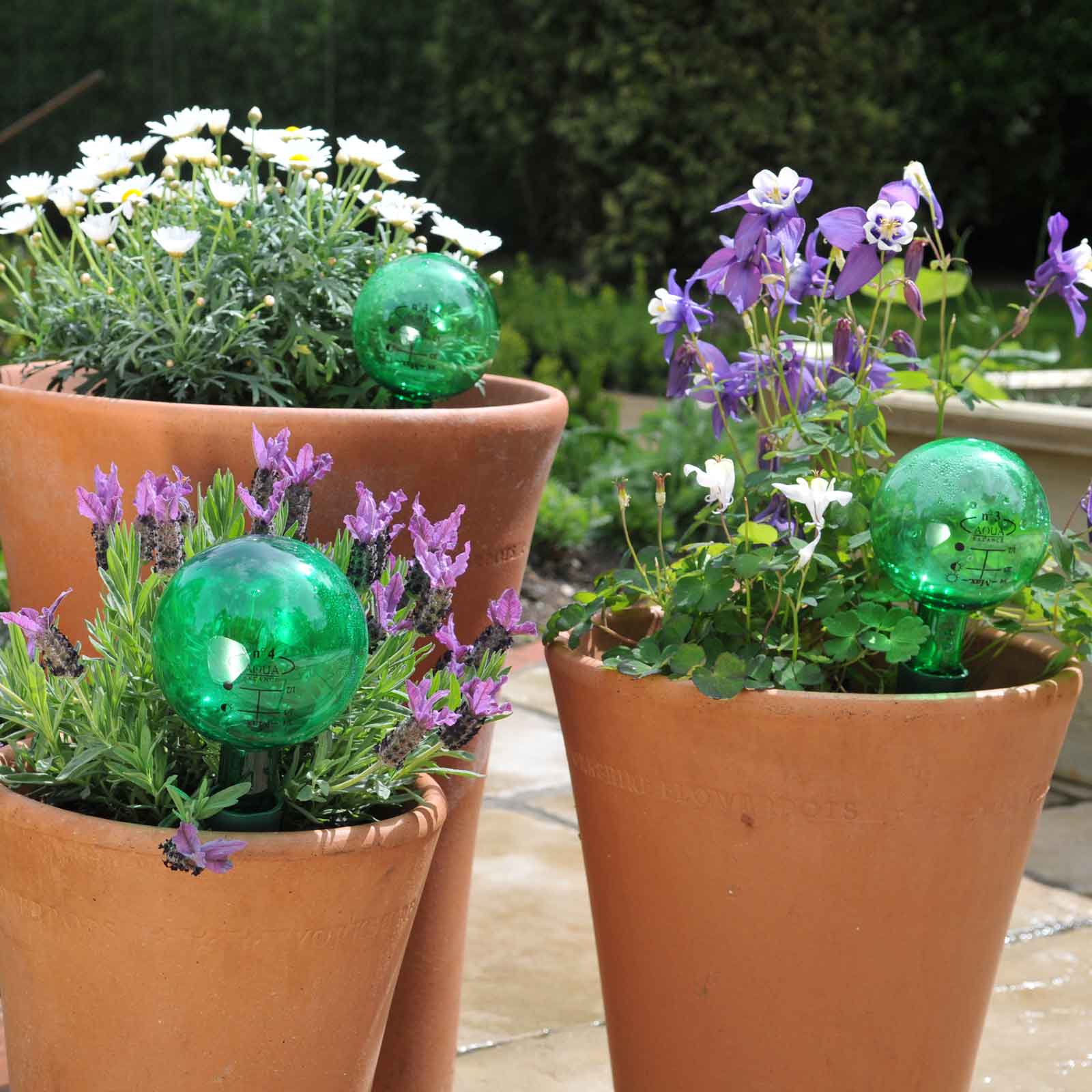 Holiday Watering Kit (Set of 6) Harrod Horticultural