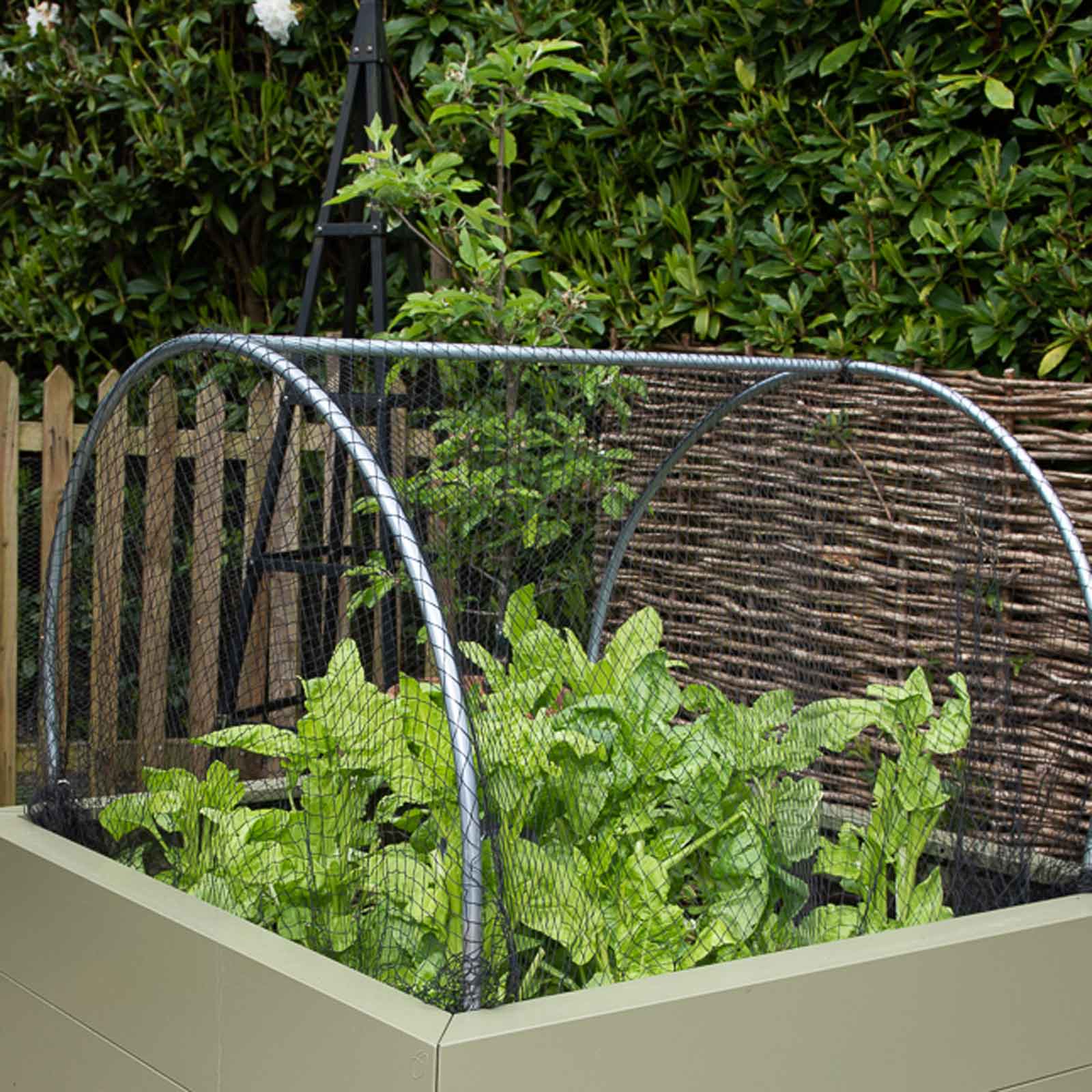Hoops & Butterfly Net Cover for Standard Metal Beds Harrod Horticultural