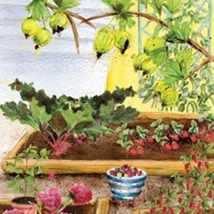 Large Fruit Garden - Harrod Horticultural