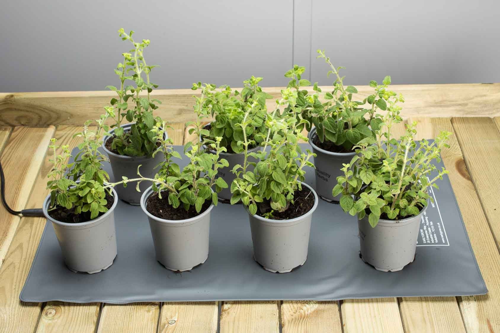 Large Heated PVC Seedling Germination Mat Harrod Horticultural