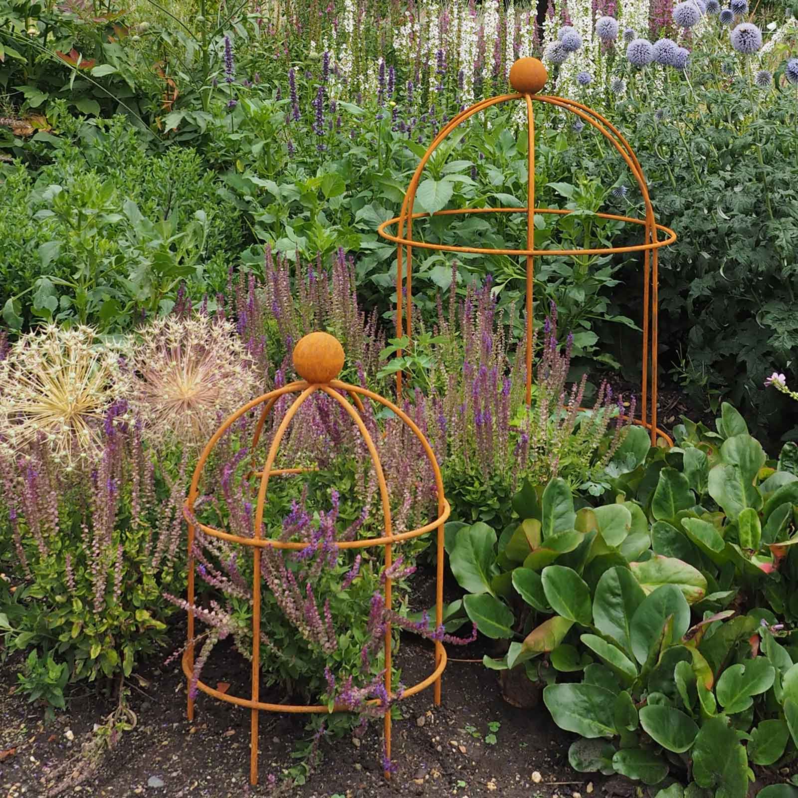 Lobster Pot Plant Support - Rust - Harrod Horticultural