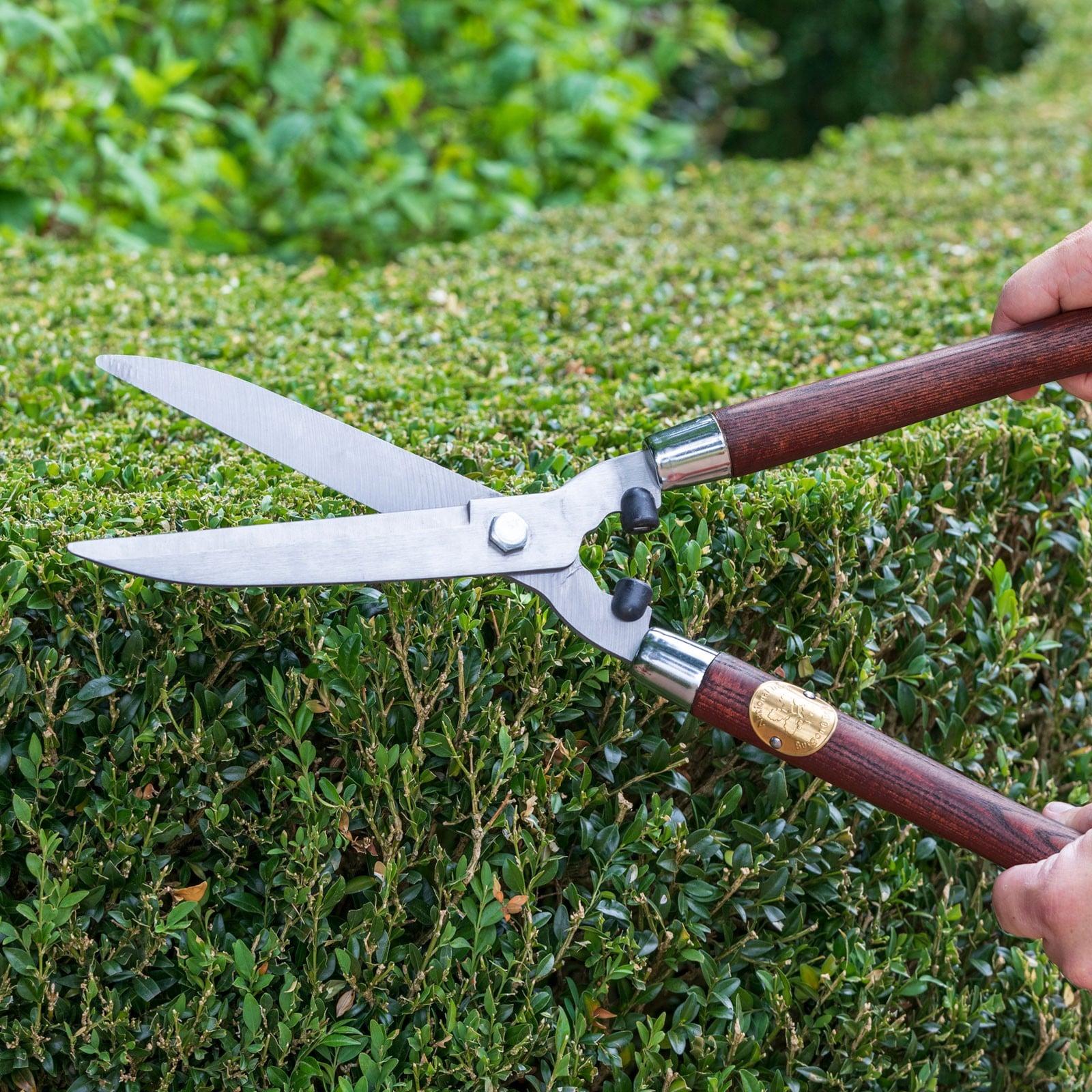 National Trust Hedge Shears Harrod Horticultural
