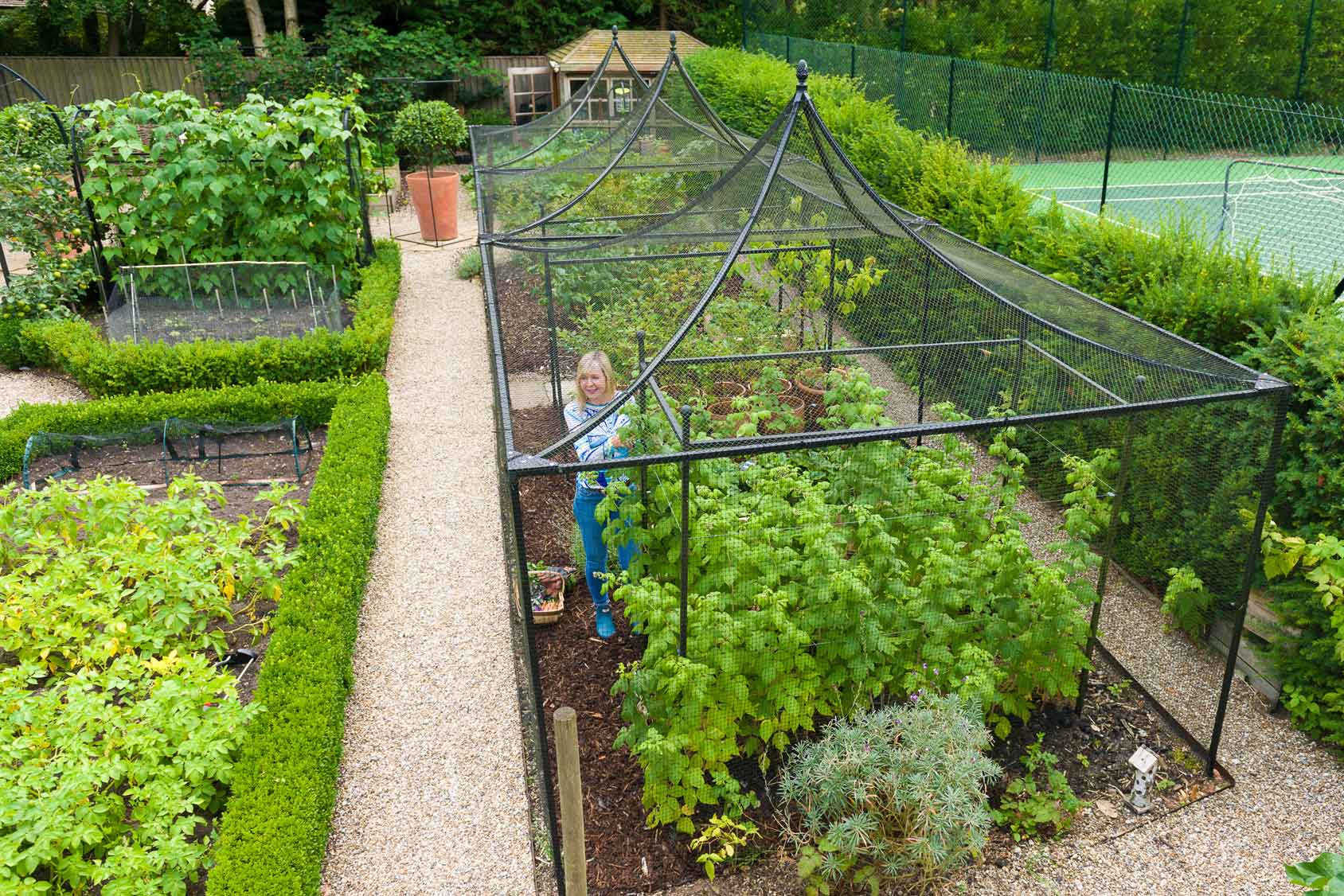 Peak Roof Heavy Duty Steel Decorative Fruit Cage - Harrod 