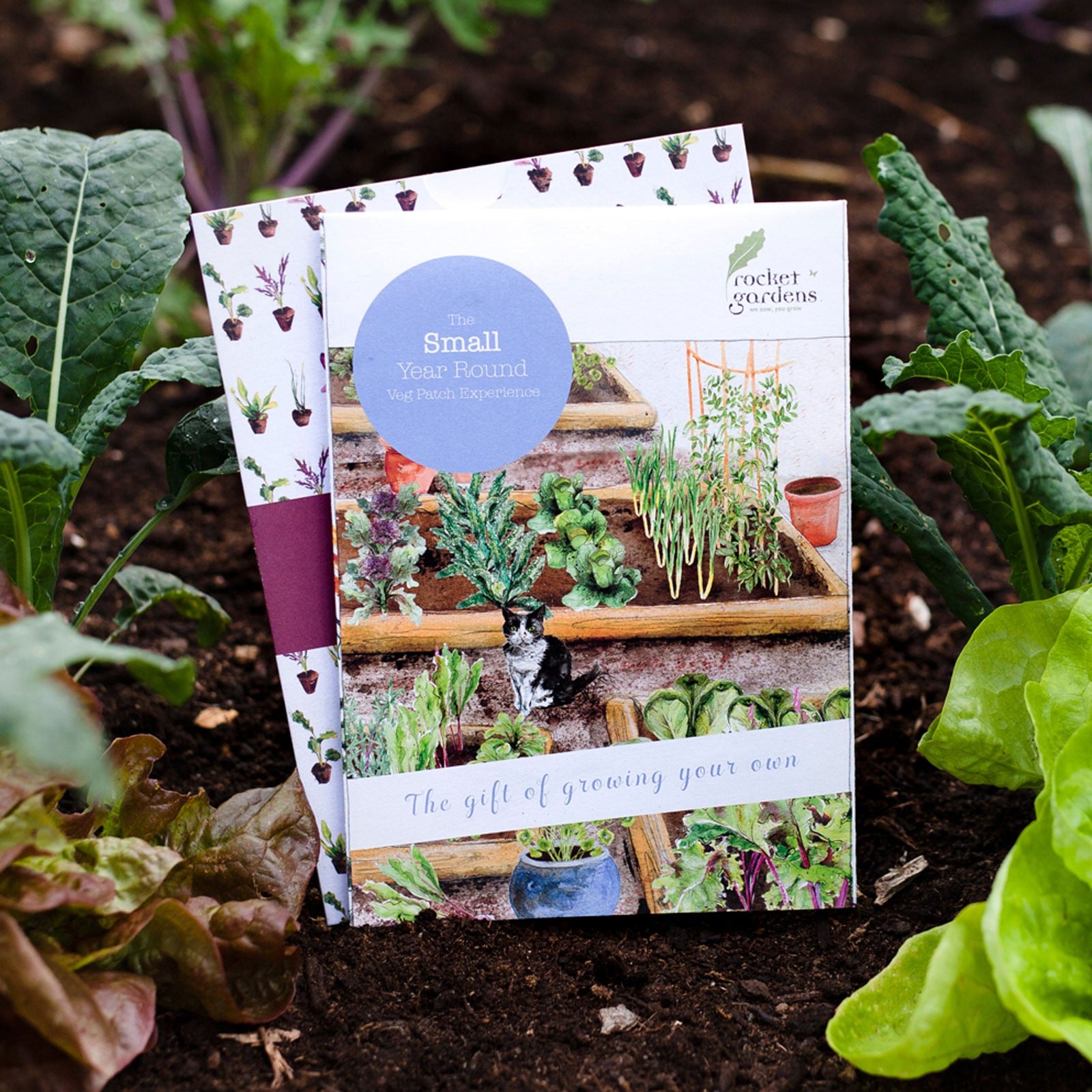 Small Year Round Veg Patch Gift Voucher Harrod Horticultural