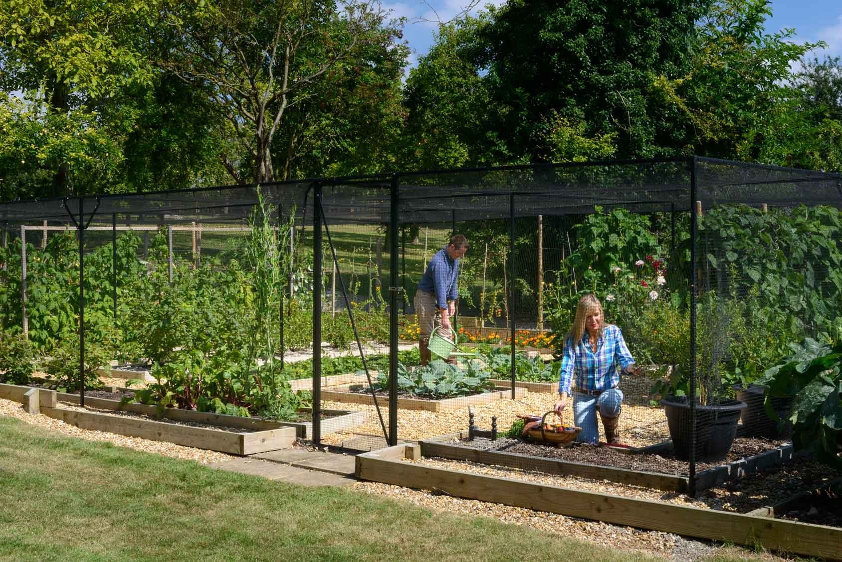 fruit cages steel cage garden vegetable walk horticultural harrod kit