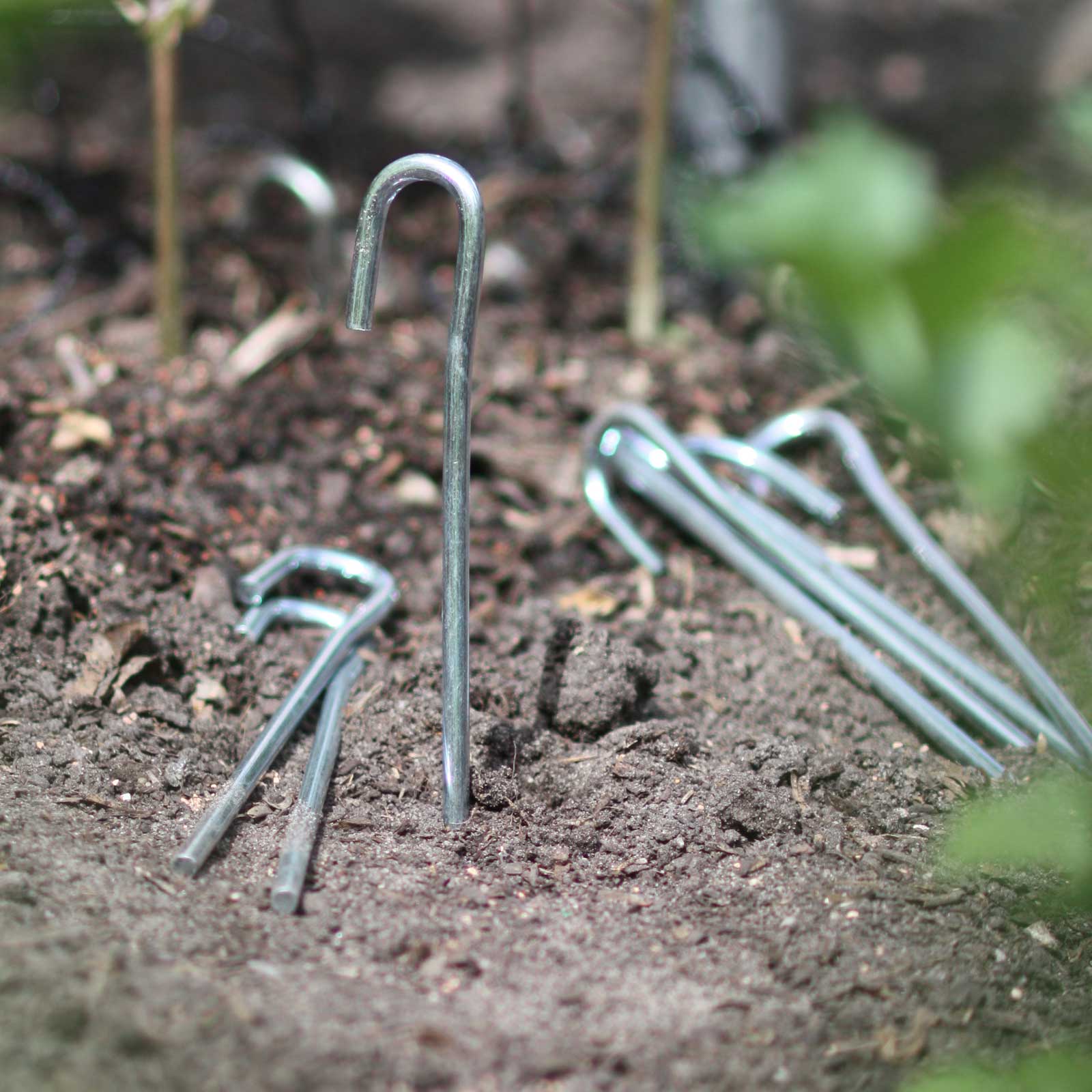 Steel Ground Pegs Harrod Horticultural (UK)