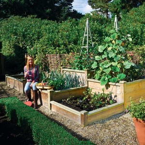 Wooden Raised Beds - Garden Supplies at Harrod Horticultural