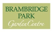 Blue Diamond - Brambridge Park Garden Centre