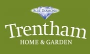Blue Diamond - Trentham Garden Centre