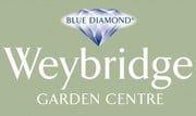 Blue Diamond - Weybridge Garden Centre