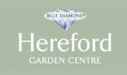 Blue Diamond - Hereford Garden Centre