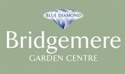 Blue Diamond - Bridgemere Garden Centre