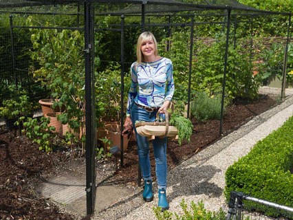 Stephanie's Garden Blog Stephanie's Garden Blog