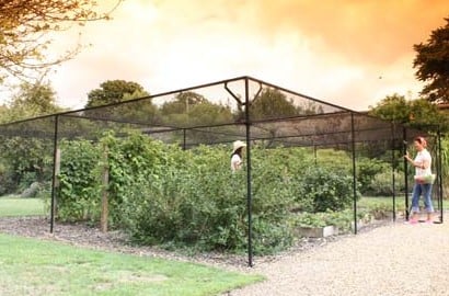 Show Gardens Show Gardens