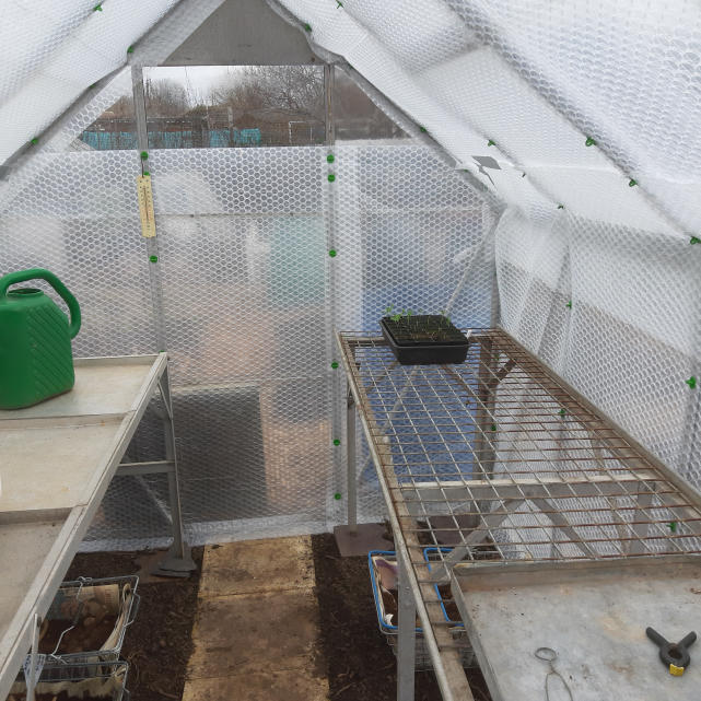 Greenhouse Bubble Wrap B&Q at Martha Hill blog