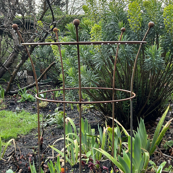 Rust Peony Plant Supports By Michael Pitts