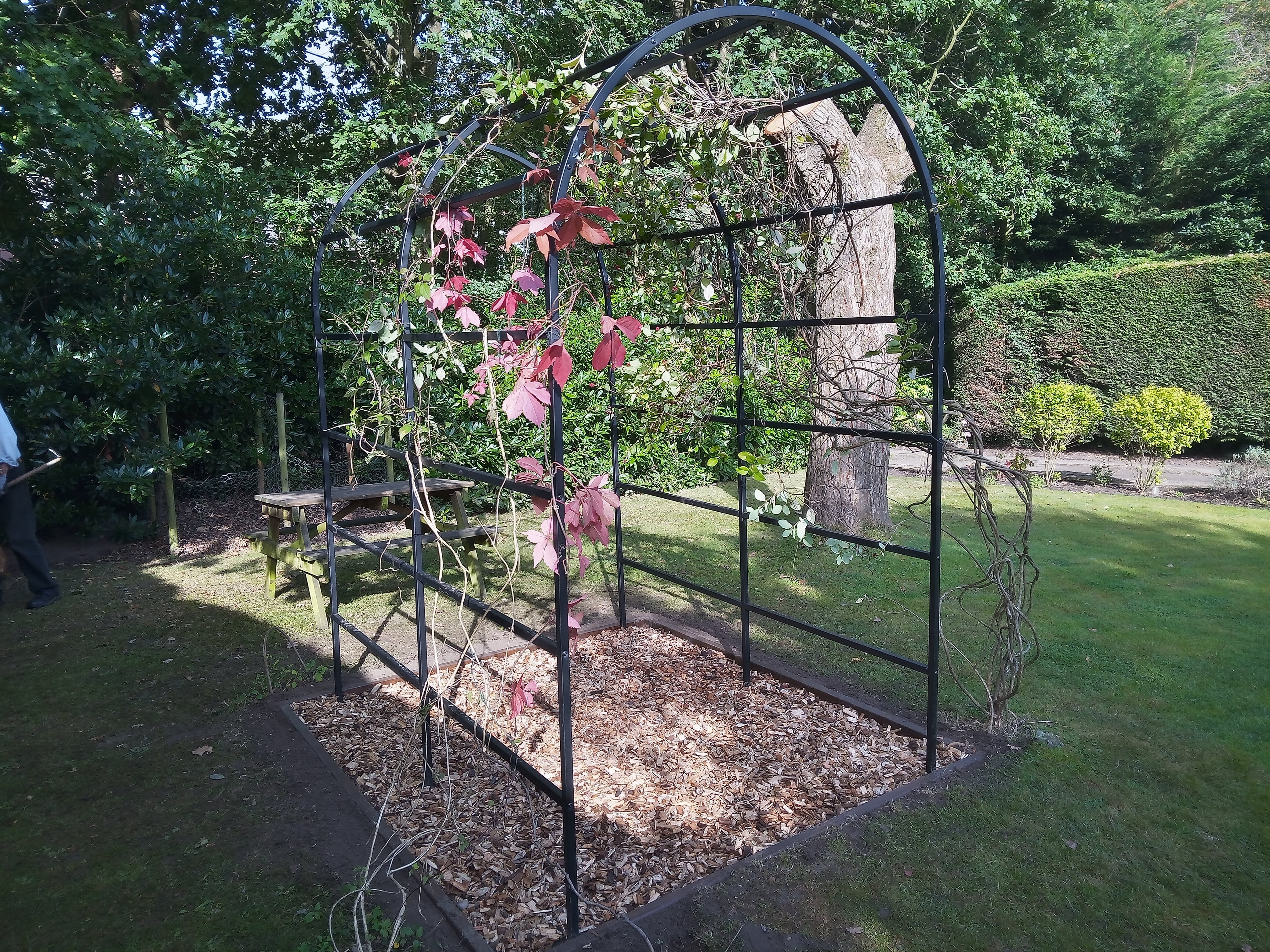 A lovely new feature for our garden By G.Rush