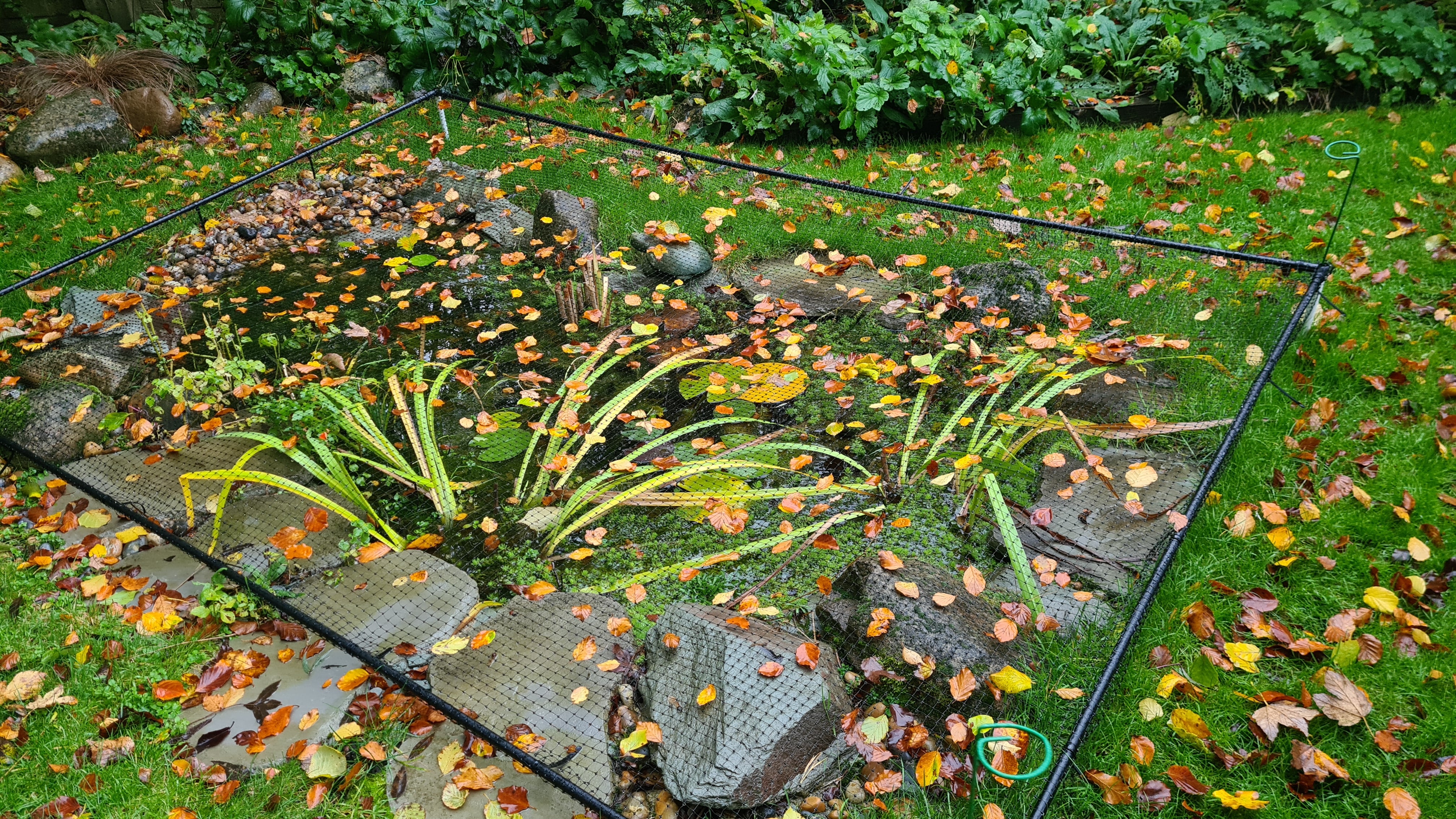 Flat Aluminium Pond Covers - Harrod Horticultural