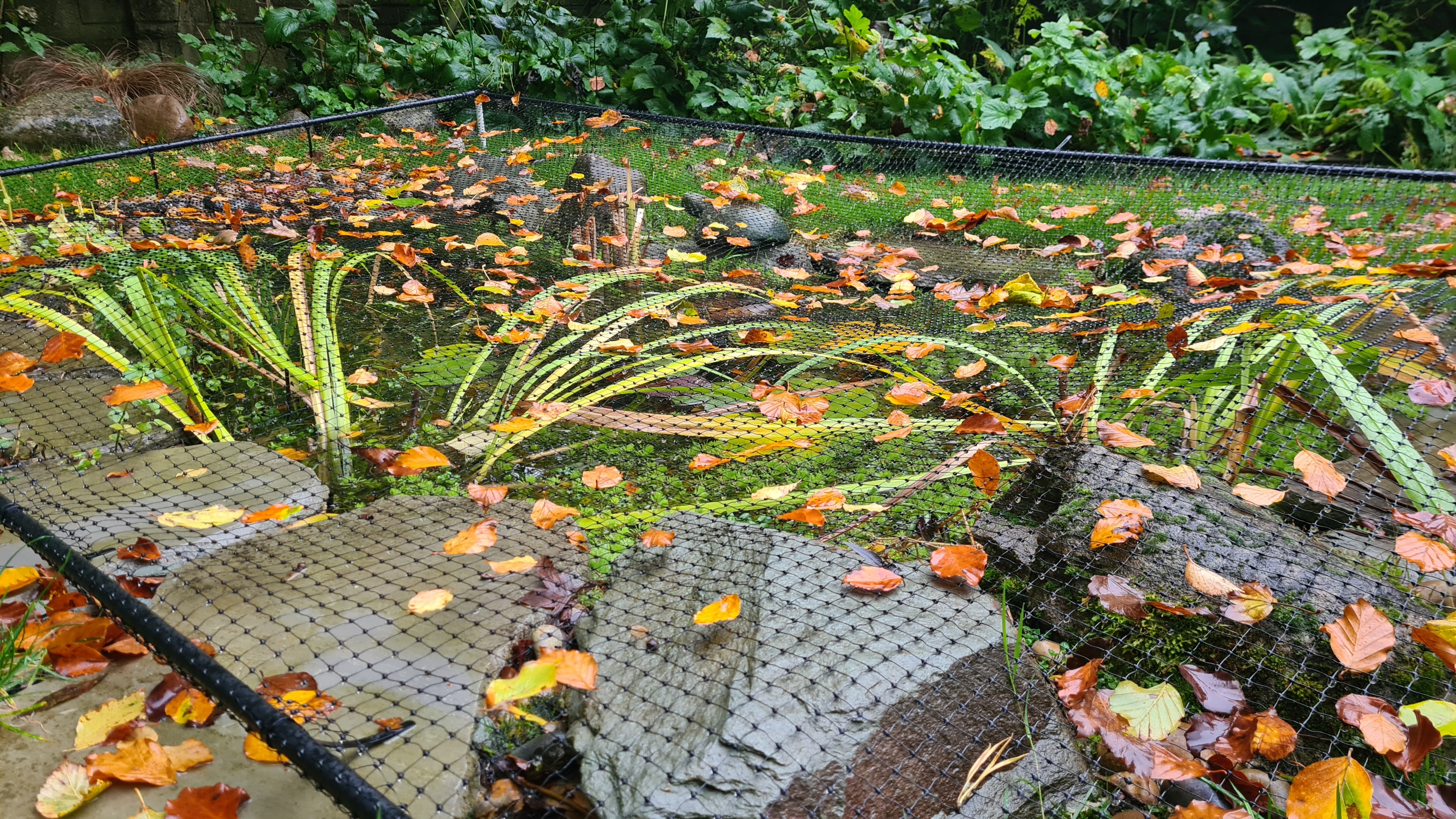 Flat Aluminium Pond Covers - Harrod Horticultural