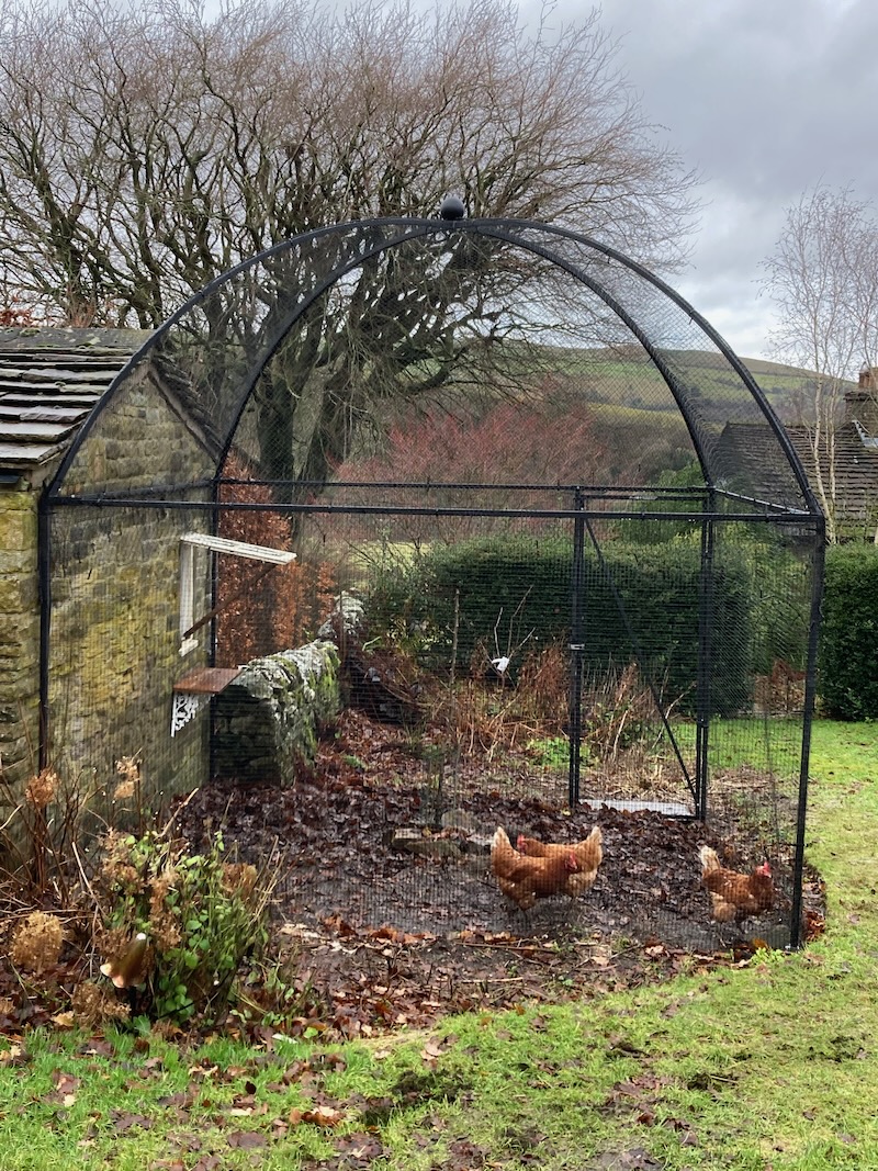 Fruitcage as a chicken run By Nina Saxton Fruitcage as a chicken run By Nina Saxton